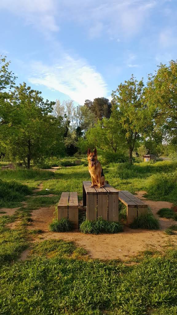 Foto compartida por ismael casanovas martínez en su reseña de Google